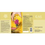 GAL CURCUGREEN KURKUMA KIVONAT FORTE KAPSZULA 60DB